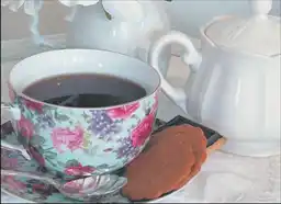 ������������ ����������� ���������