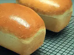 ����������. 350 ����� ��������